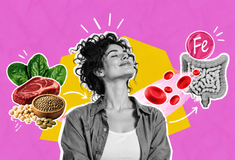 Illustration de l’absorption du fer et de son utilisation dans l’organisme